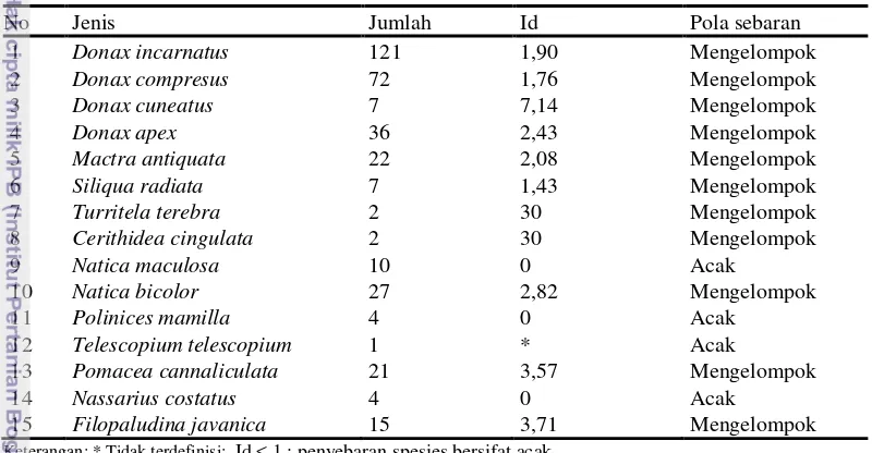 Tabel 7 Rata-rata jumlah individu moluska/m2 yang ditemukan di pesisir Glayem 
