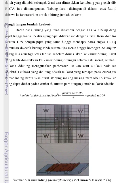 Gambar 6  Kamar hitung (hemocytometer) (McCurnin & Bassert 2006). 