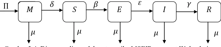 Gambar 2.4. Diagram alir model matematika MSEIR menurut Wulandari 