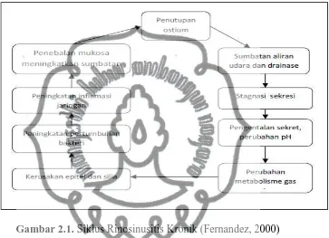 Gambar 2.1. Siklus Rinosinusitis Kronik (Fernandez, 2000) 