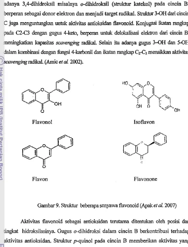 Gambar 9. Struktur beberapa senyawa flavonoid (Apak et al. 2207) 