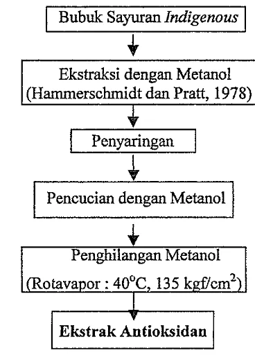 Gambar 13. Bagan alir proses ekstraksi komponen antioksidan 