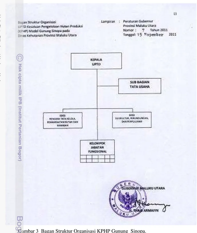 Gambar 3  Bagan Struktur Organisasi KPHP Gunung  Sinopa. 