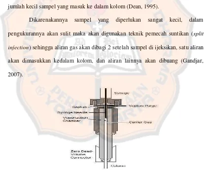 Gambar 3. Gambar sistem injeksi (Gandjar, 2007). 