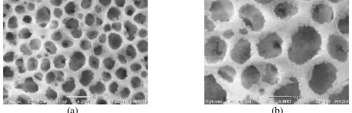 Gambar 2. Morfologi permukaan membran nilon (bobot benang nilon 6,0 g) (a) perbesaran 2000X, (b)perbesaran 4000X