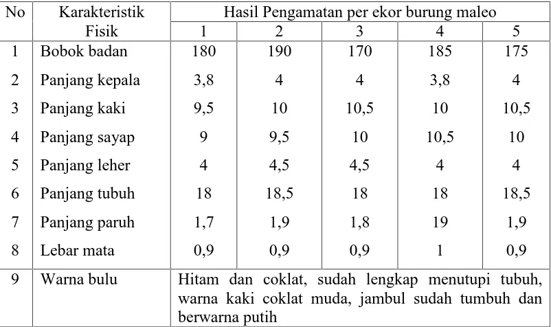 Tabel 3.5. Hasil Pengamatan Karakteristik Fisik Burung Maleo (Macrocephalonmaleo) di Resort Saluki Desa Tuwa Kawasan Taman Nasional LoreLindu (TNLL) yang berumur 3 Bulan.