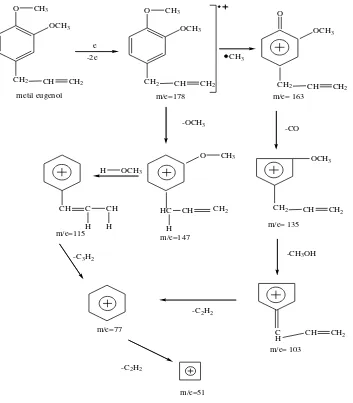 Gambar 4.9 Pola Fragmentasi Metil Eugenol 