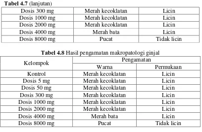 Tabel 4.7 (lanjutan) 