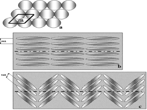 Gambar 7.  Gambar 2D susunan filamen protein (a), susunan filamen protein dari sponge Demospongiae (b) dan susunan filamen protein  dalam spikula silika Hexactinellida (Croce 2004) 