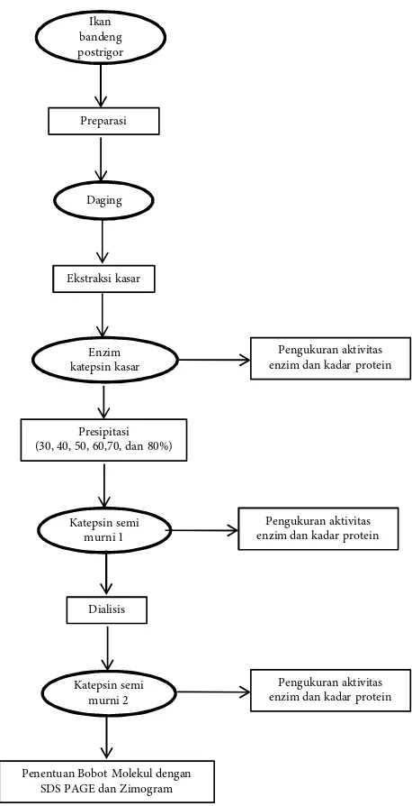 Gambar 1 Diagram alir penelitian.