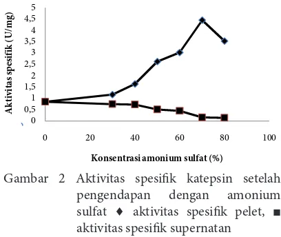 Gambar  2 Aktivitas spesifik katepsin setelah pengendapan dengan amonium Gambar 2 Aktivitas spesiik katepsin setelah 