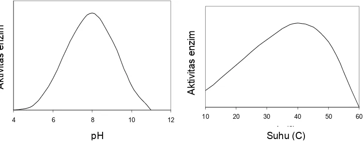 Gambar 7 Grafik hubungan perubahan ph dan suhu terhadap aktivitas enzim 