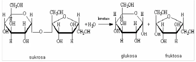 Gambar 1  Reaksi hidrolisis sukrosa. 