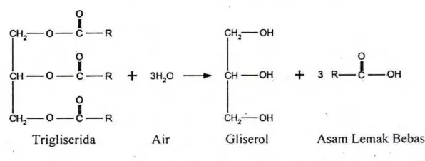 Gambar 3  Mekanisme reaksi hidrolisis (Ketaren 2005). 