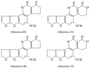 Gambar 2.  Rumus kimia struktur aflatoksin B1, B2, G1, dan G2 