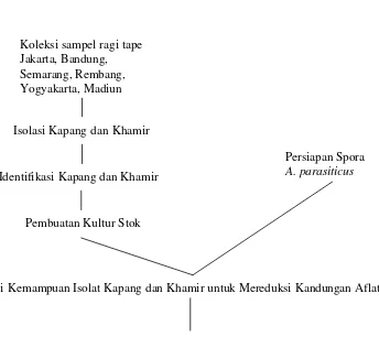 Gambar 4  Diagram alir tahap penelitian 