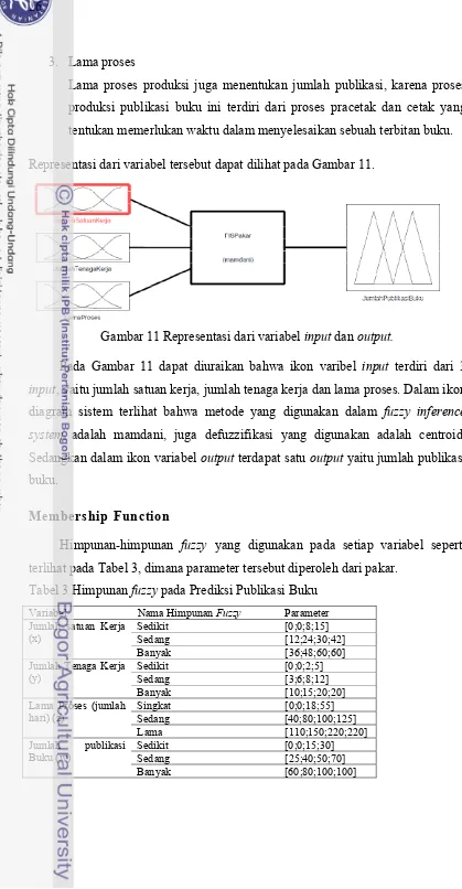 Gambar 11 Representasi dari variabel input dan output. 