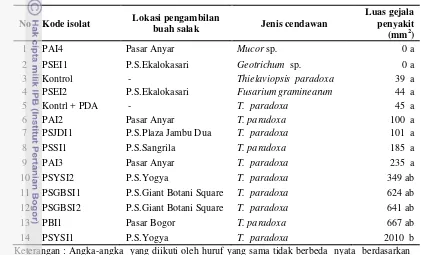 Tabel 3  Luas gejala penyakit hasil uji patogenisitas  12  isolat cendawan terhadap 