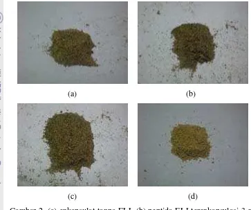 Gambar 2. (a) enkapsulat tanpa ELJ, (b) peptida ELJ terenkapsulasi 3 mg/kg 