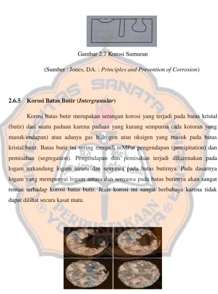 Gambar 2.8 Setruktur Mikro Korosi Intergranular 
