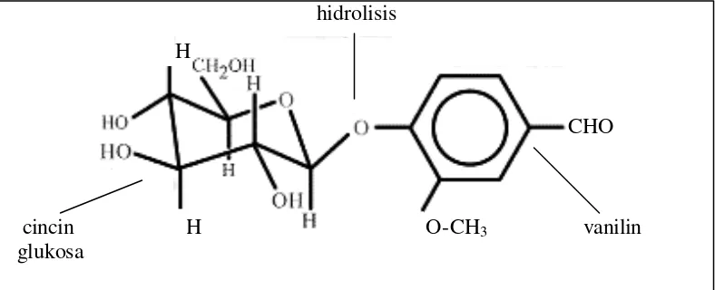 Gambar 1  Reaksi hidrolisis glukovanilin oleh enzim β-glukosidase 