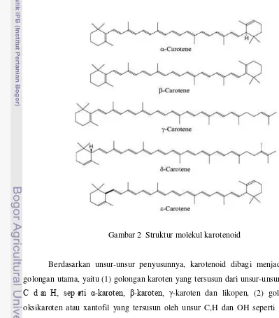 Gambar 2  Struktur molekul karotenoid  
