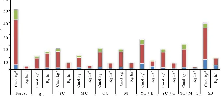 Figure 5.  Soil organic carbon (%C), total nitrogen (%N), and potassium (cmol kg-1 K) in topsoil (0-10cm) and sediments from forest land (Forest), bareland (BL), young cocoa (YC), mediumcocoa (MC), maize (M), and intercropping young cocoa+maize+cassava (YC + M + C).