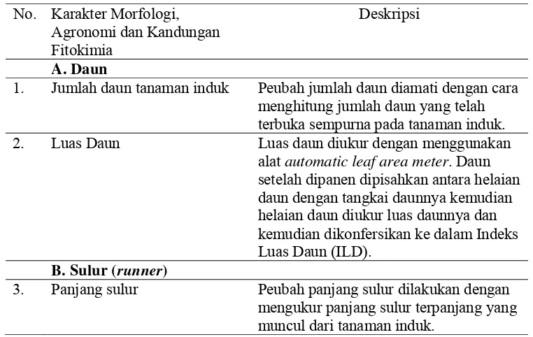 Tabel 1  Karakter morfologi, agronomi dan kandungan  fitokimia yang diamati 
