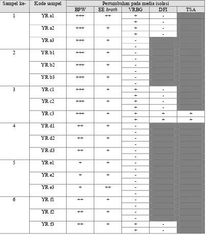 Tabel 4. Hasil isolasi E.sakazakii pada beberapa media 