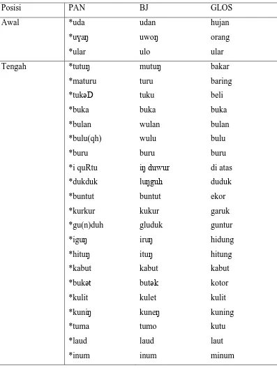 Tabel XVIII Pewarisan Linear Vokal */u/ → /u/