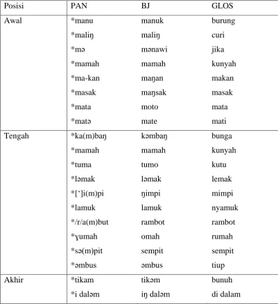 Tabel XXIII Pewarisan Linear Konsonan */m/ → /m/
