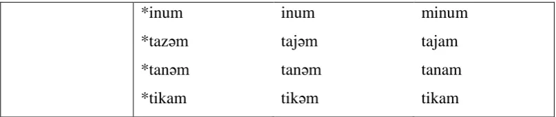 Tabel XXIV Pewarisan Linear Konsonan */w/ → /w/ 