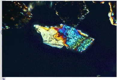 Gambar 13: Foto mineral plagioklas yang difoto dengan filter cross nikol perbesaran