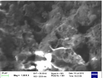 Gambar 4.6 Tampilan SEM silika pada suhu 9000C dengan perbesaran1000 x (D) 