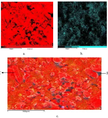 Gambar 4.2  Hasil Mapping a) Unsur C, b) Unsur F, c) Mix Unsur 