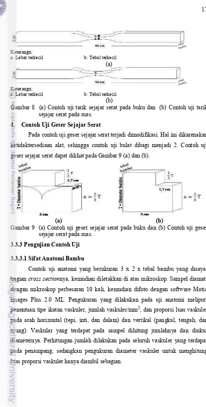 Gambar 8  (a) Contoh uji tarik sejajar serat pada buku dan  (b) Contoh uji tarik