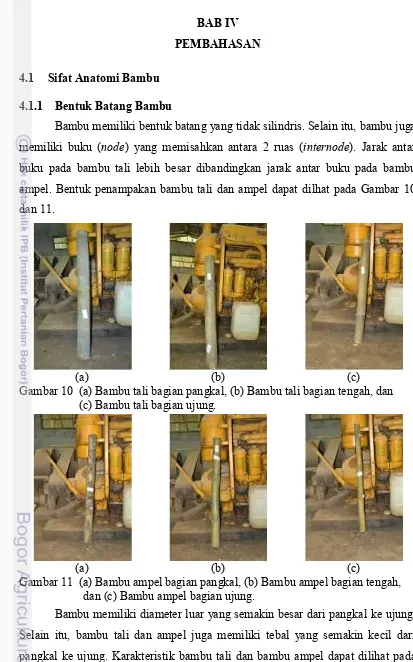 Gambar 10  (a) Bambu tali bagian pangkal, (b) Bambu tali bagian tengah, dan