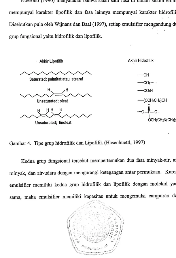 Gambar  4.  Tipe grup hidrofilik dan Lipofilik (Hasenhuettl, 1997) 
