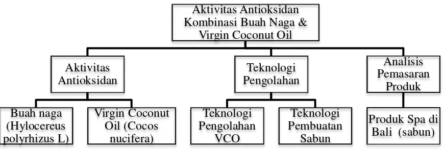 Gambar 1 Analisis aktivitas antioksidan kombinasi buah naga dan virgin coconut oil (VCO) dan analisis pemasaran produk diversifikasinya 