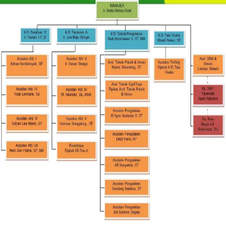Gambar 4.1 Struktur Organisasi PTPN IV Unit Usaha Pabatu 