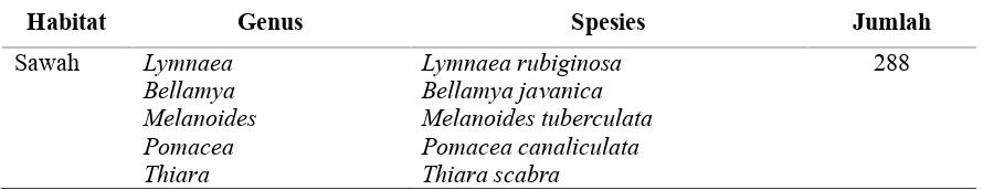 Tabel 1. Jumlah Gastropoda Air Tawar yang ditemukan di lokasi Desa Makmur di Berbagai macamhabitat