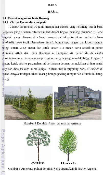 Gambar 4 Arsitektur pohon dominan yang ditemukan di cluster Argenia. 