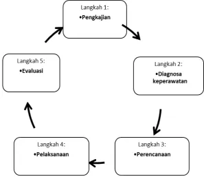Gambar 2.1: Langkah-langkah Proses Keperawatan 