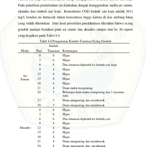 Tabel 4.4 Pengamatan Kondisi Tanaman Eceng Gondok 