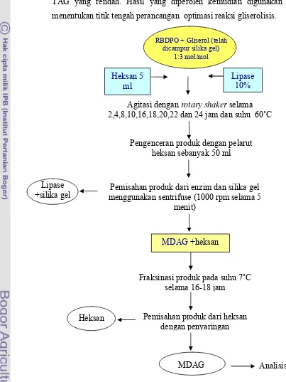 Gambar 7 Diagram alir penentuan waktu reaksi terbaik pada proses gliserolisis 