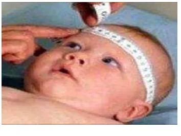 Gambar 2.5 Cara Mengukur Lingkar kepala bayi 