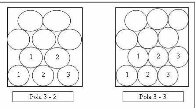 Gambar 6.  Pola penyusunan buah jeruk dalam kemasan. 