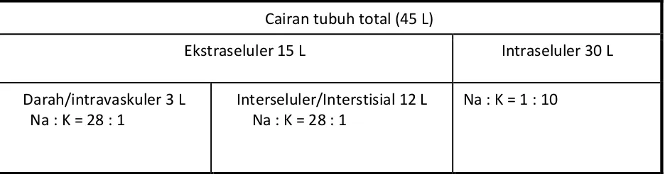 Tabel 1.1 Skema Distribusi Cairan di Dalam Tubuh 
