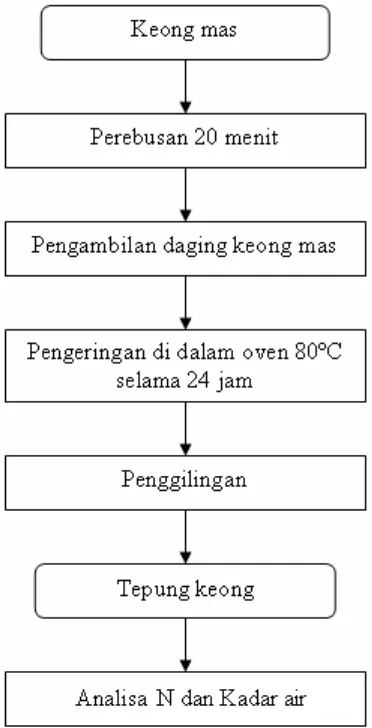 Gambar 3.  Diagram alir pembuatan tepung keong (Bagus, 1999) 