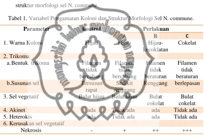 Tabel 1. Variabel Pengamatan Koloni dan Struktur Morfologi Sel N. commune. 